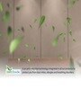 Durafirm Classic 6 Inches Rebonded Foam Single Size Mattress