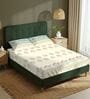 Dusty Blue Floral 200 TC Cotton Double Bedsheet with 2 Pillow Covers