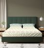 Dusty Blue Floral 200 TC Cotton Single Bedsheet with 1 Pillow Cover