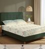 Dusty Blue Floral 200 TC Cotton Single Bedsheet with 1 Pillow Cover