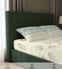 Dusty Blue Floral 200 TC Cotton Single Bedsheet with 1 Pillow Cover