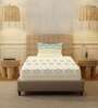 Dusty Blue Floral 200 TC Cotton Single Bedsheet with 1 Pillow Cover