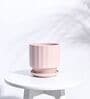 Dusty Rose Ceramic Desk Pot