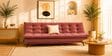 Dwayne 3 Seater Sofa Cum Bed Rose Color