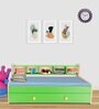 Dwan Kids Bed in Green Colour with Drawer Storage