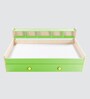 Dwan Kids Bed in Green Colour with Drawer Storage