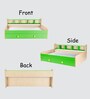 Dwan Kids Bed in Green Colour with Drawer Storage