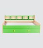 Dwan Kids Bed in Green Colour with Drawer Storage