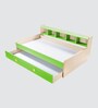 Dwan Kids Bed in Green Colour with Drawer Storage