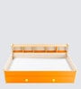 Dwan Kids Bed in Orange Colour with Drawer Storage