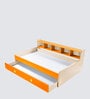 Dwan Kids Bed in Orange Colour with Drawer Storage