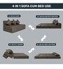 Dwell (72x60) 3 Seater Queen Size 7 inches Sofa Cum Foldable Mattress