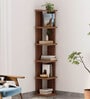 Dyer Book Shelf In Walnut Finish
