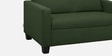 Ease Fabric 2 Seater Sofa In Sap Green Colour