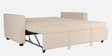 Ease Fabric Pull-Out Sofa Cum bed In Iconic Beige Colour
