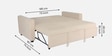 Ease Fabric Pull-Out Sofa Cum bed In Iconic Beige Colour