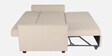 Ease Fabric Pull-Out Sofa Cum bed In Iconic Beige Colour