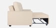 Ease Fabric Pull-Out Sofa Cum bed In Iconic Beige Colour
