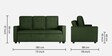 Ease Fabric Pull-Out Sofa Cum bed In Sap Green Colour