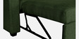 Ease Fabric Pull-Out Sofa Cum bed In Sap Green Colour