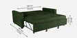Ease Fabric Pull-Out Sofa Cum bed In Sap Green Colour