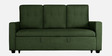 Ease Fabric Pull-Out Sofa Cum bed In Sap Green Colour