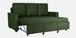 Ease Fabric Pull-Out Sofa Cum bed In Sap Green Colour