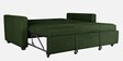Ease Fabric Pull-Out Sofa Cum bed In Sap Green Colour