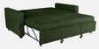 Ease Fabric Pull-Out Sofa Cum bed In Sap Green Colour