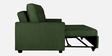 Ease Fabric Pull-Out Sofa Cum bed In Sap Green Colour