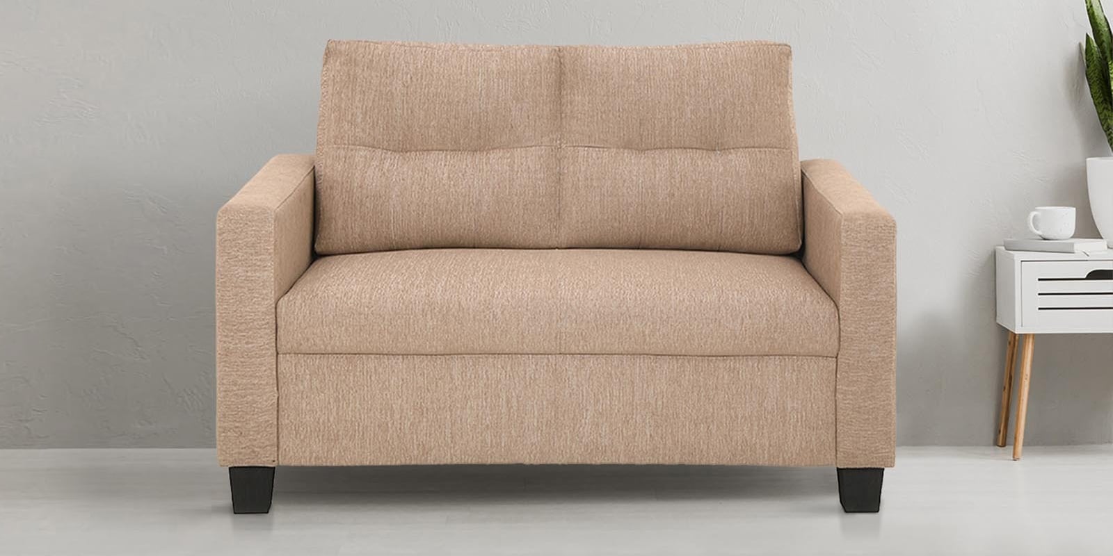 Ease Fabric 2 Seater Sofa in Brown Colour