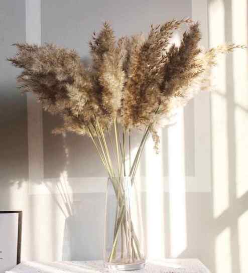 Earth Tone Brown Dried Flowers Set of 10 Stems