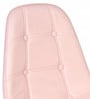 Alonso Leatherette Iconic Chairs in Pink Colour