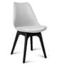 Eames Plastic Iconic Chair in White & Black Colour