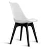 Eames Plastic Iconic Chair in White & Black Colour