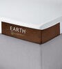 Earth Orthopedic 4 Inch Latex Queen Size Mattress (With 2 Free Pillows)