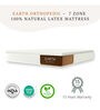 Earth Orthopedic 4 Inch Latex Queen Size Mattress (With 2 Free Pillows)