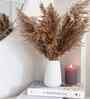 Earth Tone Brown Dried Flowers Set of 10 Stems