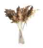 Earth Tone Brown Dried Flowers Set of 10 Stems