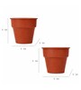 Earthen Planter Set of 2