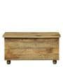 Easton Solid Wood Trunk