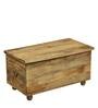 Easton Solid Wood Trunk