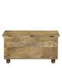 Easton Solid Wood Trunk