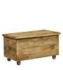 Easton Solid Wood Trunk