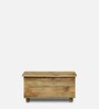 Easton Solid Wood Trunk