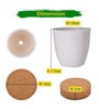 Easy Grow It Yourself Dhalia Gardening Kit for Home And Garden