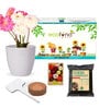 Easy Grow It Yourself Dhalia Gardening Kit for Home And Garden