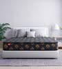 Easy Star Reversible PU Foam 4 Inches Single Size Mattress
