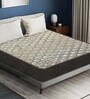 Ebon 3-Zone 10 Inches Memory Foam Single Size Mattress with HerbFRESH  Technology