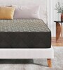 Ebon 3-Zone 10 Inches Memory Foam Single Size Mattress with HerbFRESH  Technology